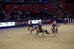 Quadrille - 00327